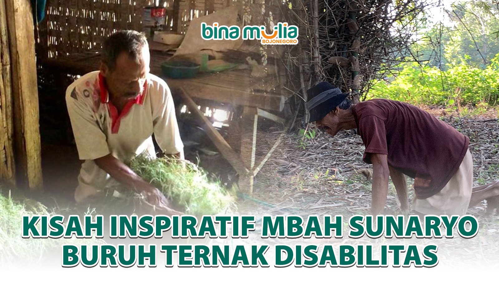 Tak Terbatas Oleh Fisik : Kisah Inspiratif Mbah Sunaryo Buruh Ternak Disabilitas 